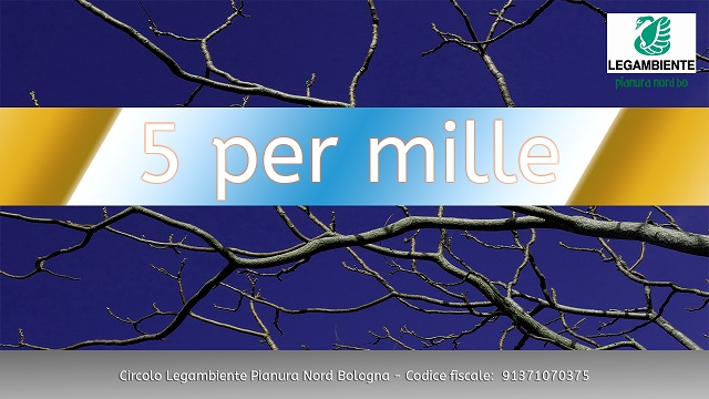 5 per mille