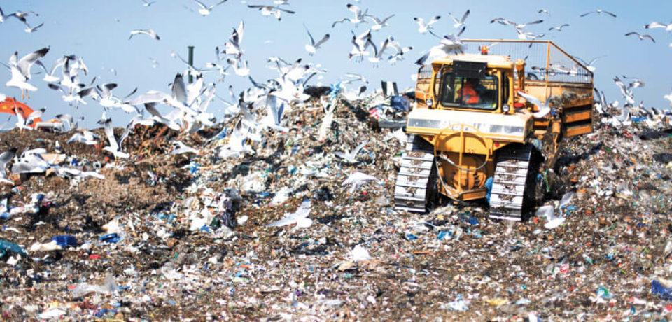 Osservazioni sulla discarica di Castel Maggiore