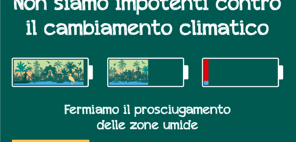 Iniziativa dedicata alle zone umide