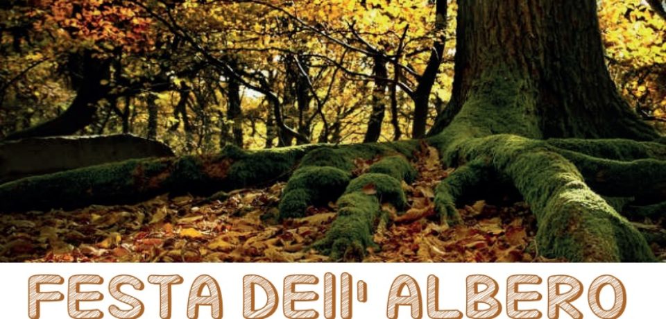 Festa dell’albero – Un albero per il clima