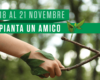 Festa dell’albero 24 novembre 2022