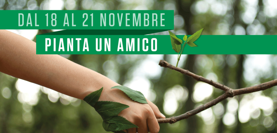 Festa dell’albero 24 novembre 2022