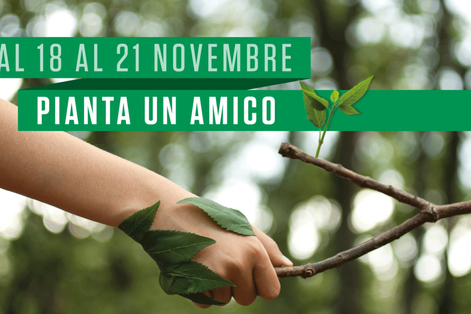 Festa dell’albero 24 novembre 2022