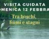 Giornata mondiale zone umide 2023 – visita guidata