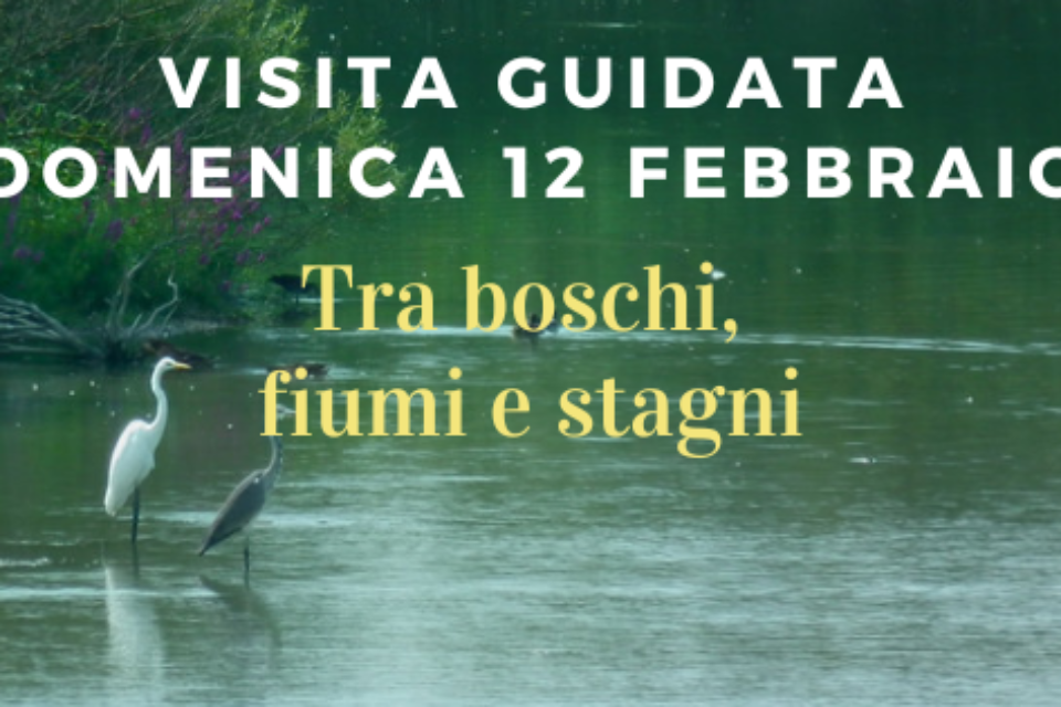 Giornata mondiale zone umide 2023 – visita guidata