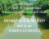 Festa dell’albero: area riequilibrio la Bisana visita guidata