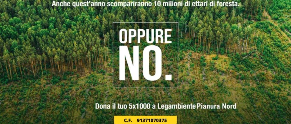 Dona il tuo 5×1000