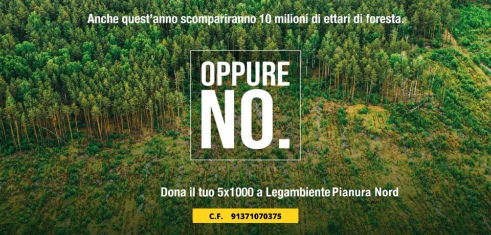 Dona il tuo 5×1000