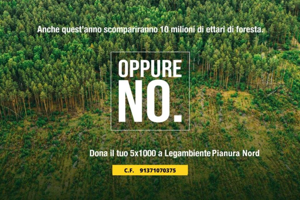 Dona il tuo 5×1000