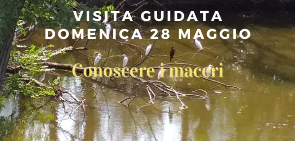 Visita guidata 28 maggio 2023