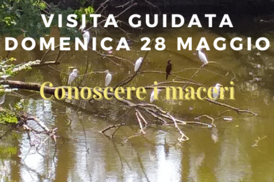 Visita guidata 28 maggio 2023
